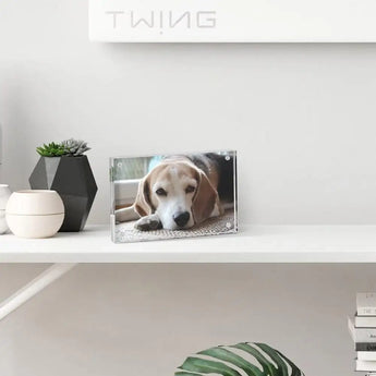 Custom acrylic photo frame with dog picture on white shelf, modern home decor and plants