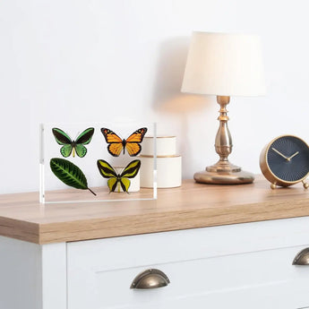 Acrylic frame with colorful butterfly and leaf artwork on wooden dresser beside lamp and clock