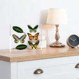 Acrylic frame with colorful butterfly and leaf prints on a wooden dresser, modern home decor