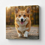 Custom canvas print featuring a happy corgi dog outdoors with autumn background