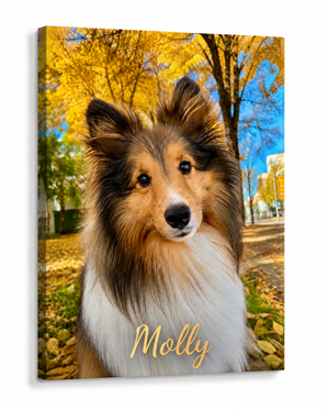 TWING Custom Pet Photo Canvas